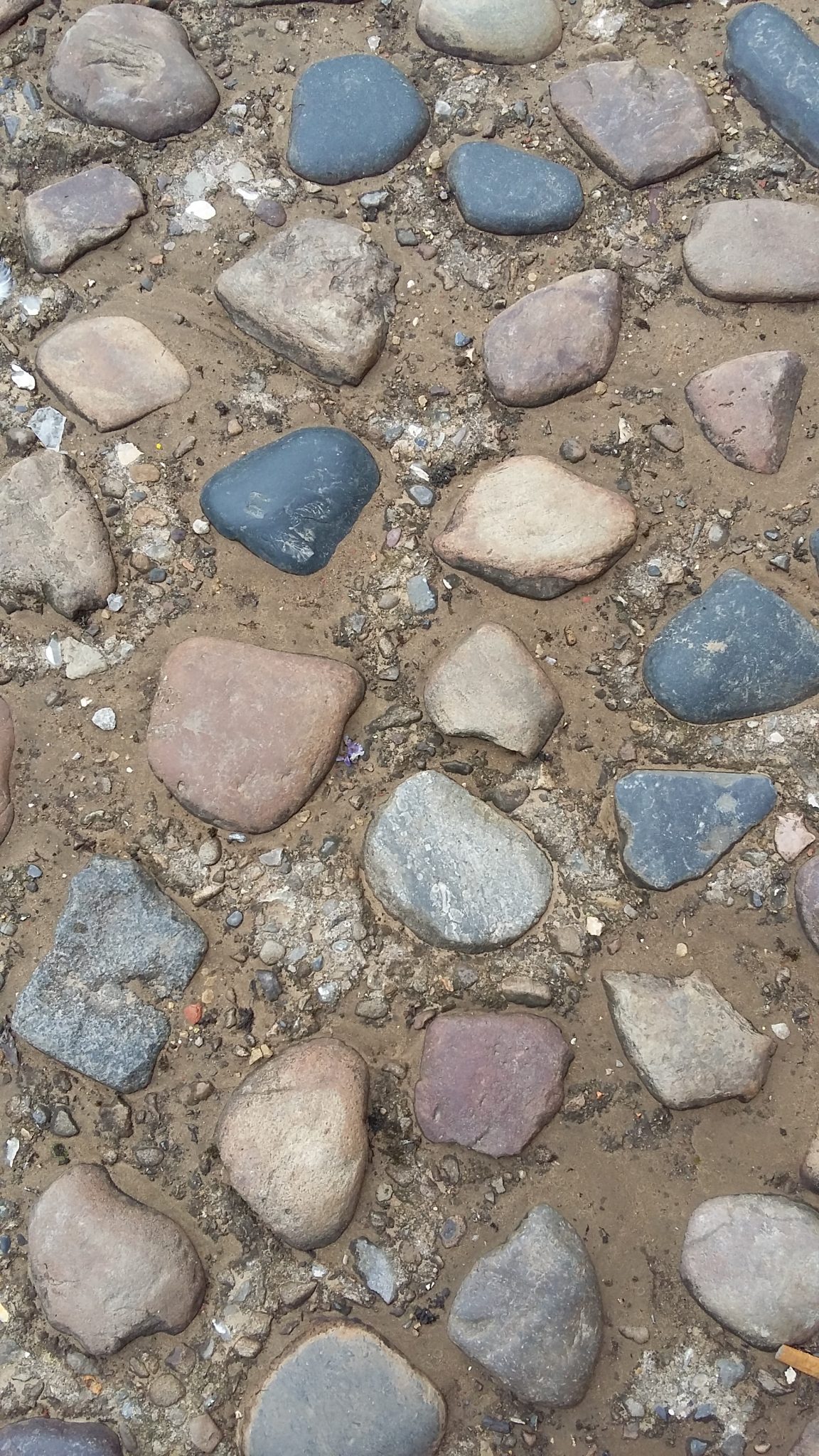 Rock, stone, or pebble? FossilHub